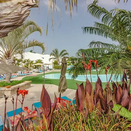 Huge Sunny Terrace Heated Pool Apartment *